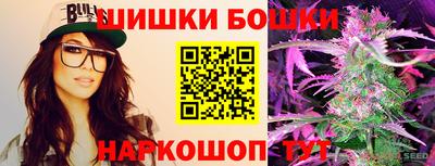 трава Сланцы
